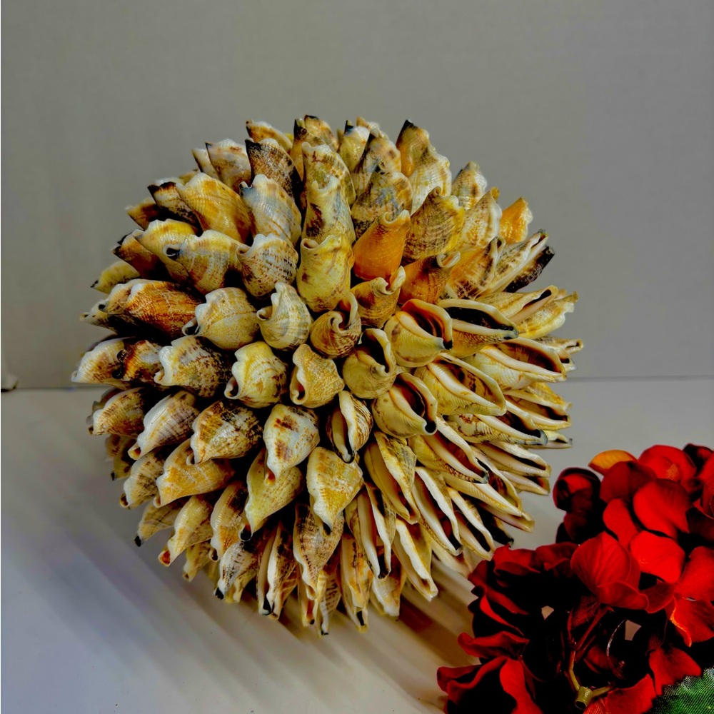 Vintage Decorative Natural Seashell Sea shell Orb Sphere Ball 7.5” Circumference
